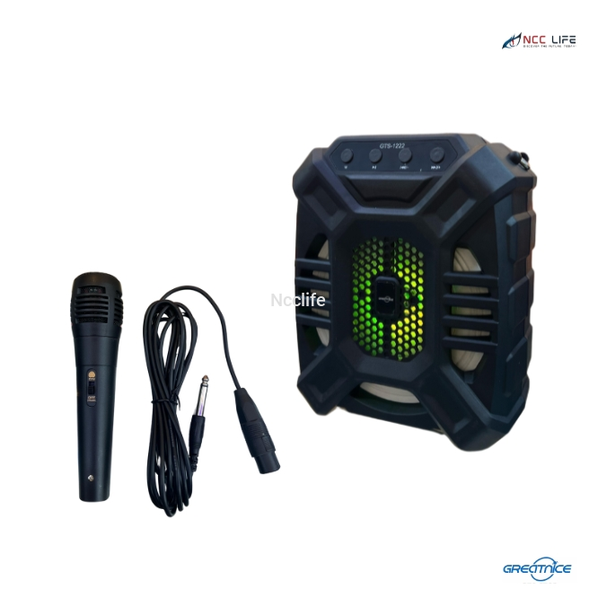 GTS-1222 Bluetooth Speaker with Wired Microphone – Dual 6.5" Portable Karaoke Party Speaker